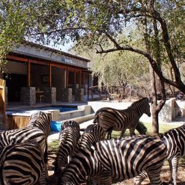 Dream of Africa Bush Lodge