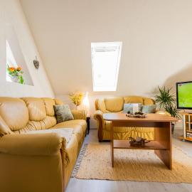 Waldblickwohnung mit schöner Terrasse und Kamin&Sauna, hotel din Sebnitz