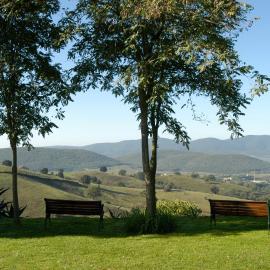 Podere Cavone - Casale degli Ulivi