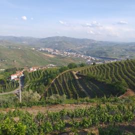 Retiro da Quinta do Souto – hotel w mieście Peso da Régua