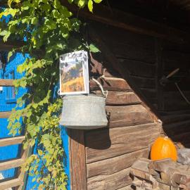 Casa de vacanta traditionala La Fanar: Schiuleşti şehrinde bir otel