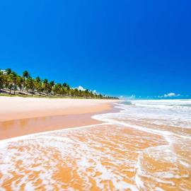 Paraíso na Reserva Imbassaí