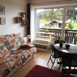 Studio ski au pied rénové, balcon, piscine, parking - FR-1-598-131