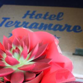 Hotel Terramare
