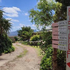 Rusthof Accommodation, hotell sihtkohas Gansbaai