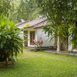 The Calm Cabana