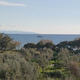 Mina's Studios in Naxos Island