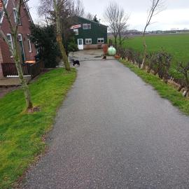 boerenskuur De Bedstee groen, hotell i Assendelft