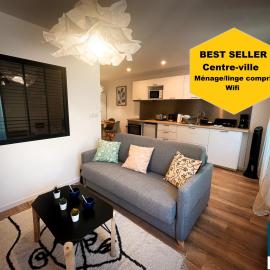 Au cœur de Castres, logement cosy classé 3***