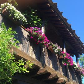 Stefanina Guesthouse, hotell i Bozhentsi