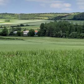 Gîte à la ferme le vivier