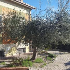 Appartement côte Adriatique