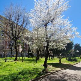 Giardino sul Naviglio