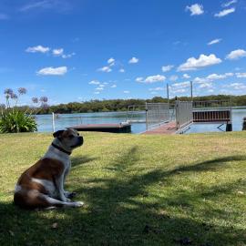 The Jetty House Jervis Bay, hotel u gradu Myola