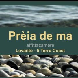 Preia de ma