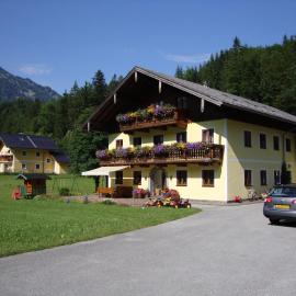 Pferdehof Almgut - Reiten für Kinder, Natur und Erholung nahe Salzburg
