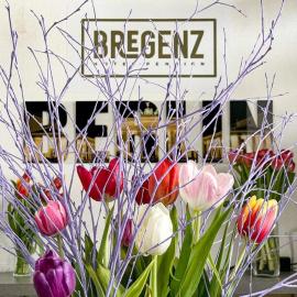 Hotel Bregenz: Berlin'de bir otel