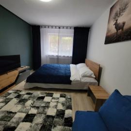 Casa Rusu -Moroasa-Self check in-24h Netflix, Hotel in Reşiţa