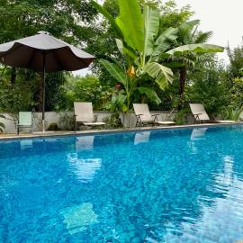 Guest House Botanical Paradise, hotel in Mtsvane Konts'khi