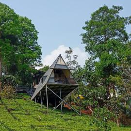 Vythiri Stream View, Hotel in Vythiri