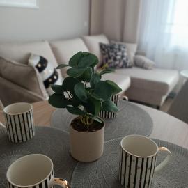 Apartament Emili VIPOO, hotel Suwałkiban