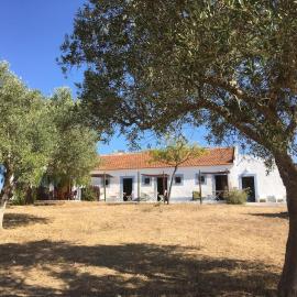 Casas na Vinha - Monte da Casteleja, Wine Estate - Eco Turismo Rural, hotel in Lagos