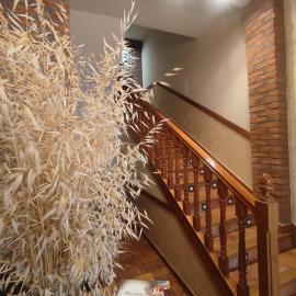 Hostal la Cepa, hotel in Aldeanueva de Ebro