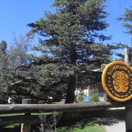 SilverCord B&B, hotel in Potrerillos