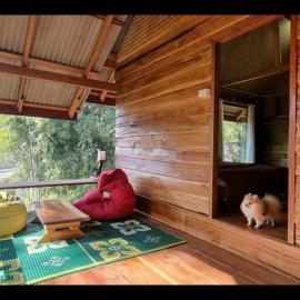 PeaMoo Homestay、チョームトーンのホテル