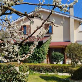 B&B Angolo Verde, hotel i Terni