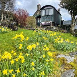 5 Star Shepherds Hut in Betws y Coed with Mountain View, hotel in Capel Curig