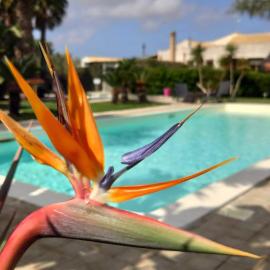 Borgo Pida, hotel em Trapani