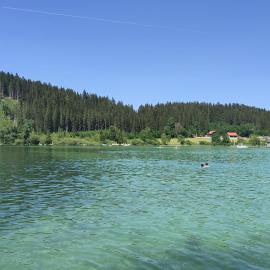Nur 3 Min zu Skilift & 5Min zum See, hotel in Mitterbach