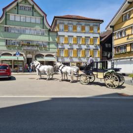 Viesnīca Alpen-Paradies Edelweiss pilsētā Urnäsch