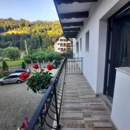 Casa Dana Olteanu、モイエチウ・デ・ススのホテル