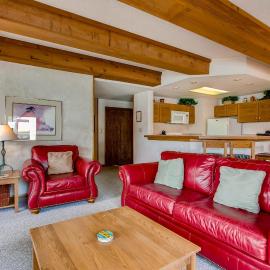 2 Br With Views Of Wood Creek & Mountains Condo, Hotel in Crested Butte