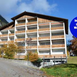Ferienwohnung Studio Selvea, hotel in Adelboden