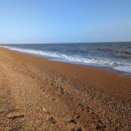 Seahorse House, Beautiful Large house next to the Beach & Park & near Zoo, Hythe