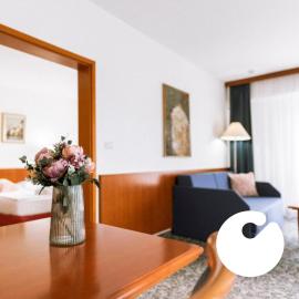 Hotel Toplice - Terme Čatež，卡帖歐布薩維的飯店