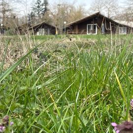 CAMPING DE LA CHALARONNE, hotelli kohteessa Saint-Didier-sur-Chalaronne