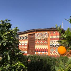 Afrikan Krisant Tenerife, Casa Rural Ecologica, hotel i Arafo