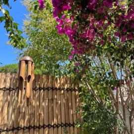 Studio avec rez de jardin