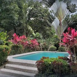 Casa Sammie: True Costa Rica, hotel Tárcolesben
