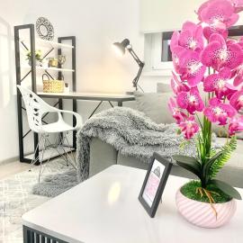 -Daniels Suite -Close to airport and railway station