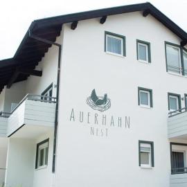 Auerhahn Nest