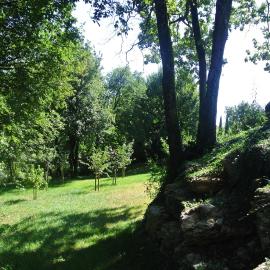 A L'Orée du Bois