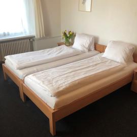 Hotel Restaurant Heidihof, hotel i Maienfeld