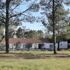 Casa do Pinheiro