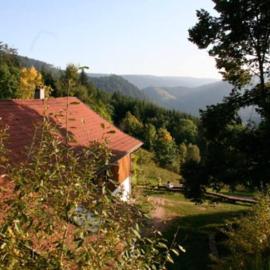 Appartement dans vielle ferme au coeur des Vosges, hotel in Plainfaing