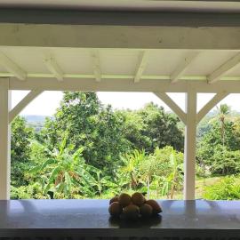 Appartement spacieux, soigné et tout confort sur la Trinité